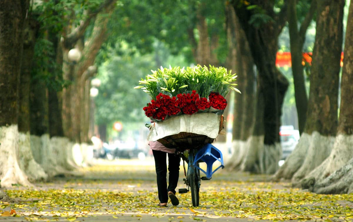 the best time to visit Hanoi City